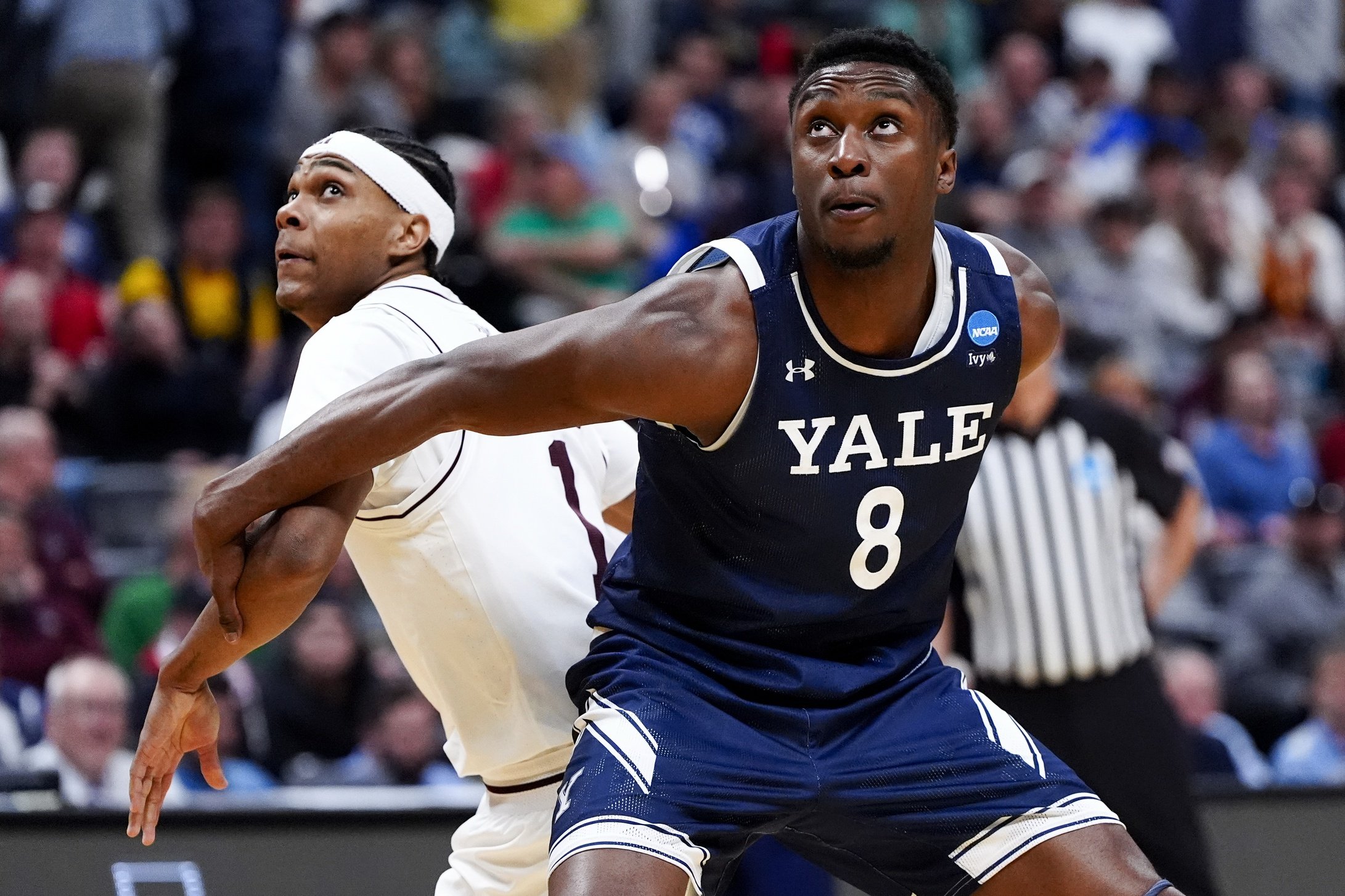 Yale vs Akron Picks and Predictions for Sunday, November 23, 2025