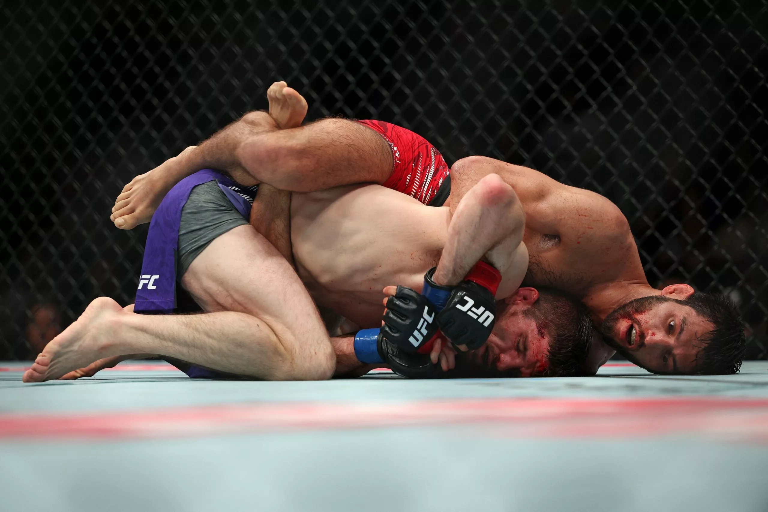 Matt Schnell vs Joseph Morales Picks and Predictions for Saturday November 8 2025