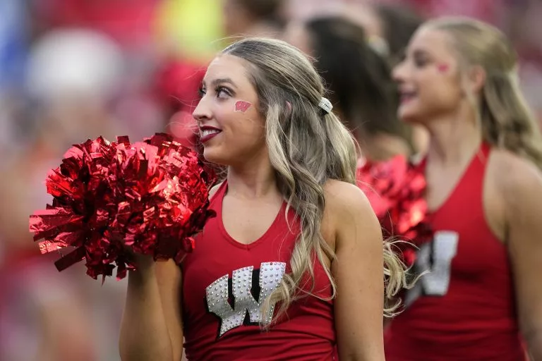 Illinois at Wisconsin — Picks & Prediction for Saturday, November 22, 2025
