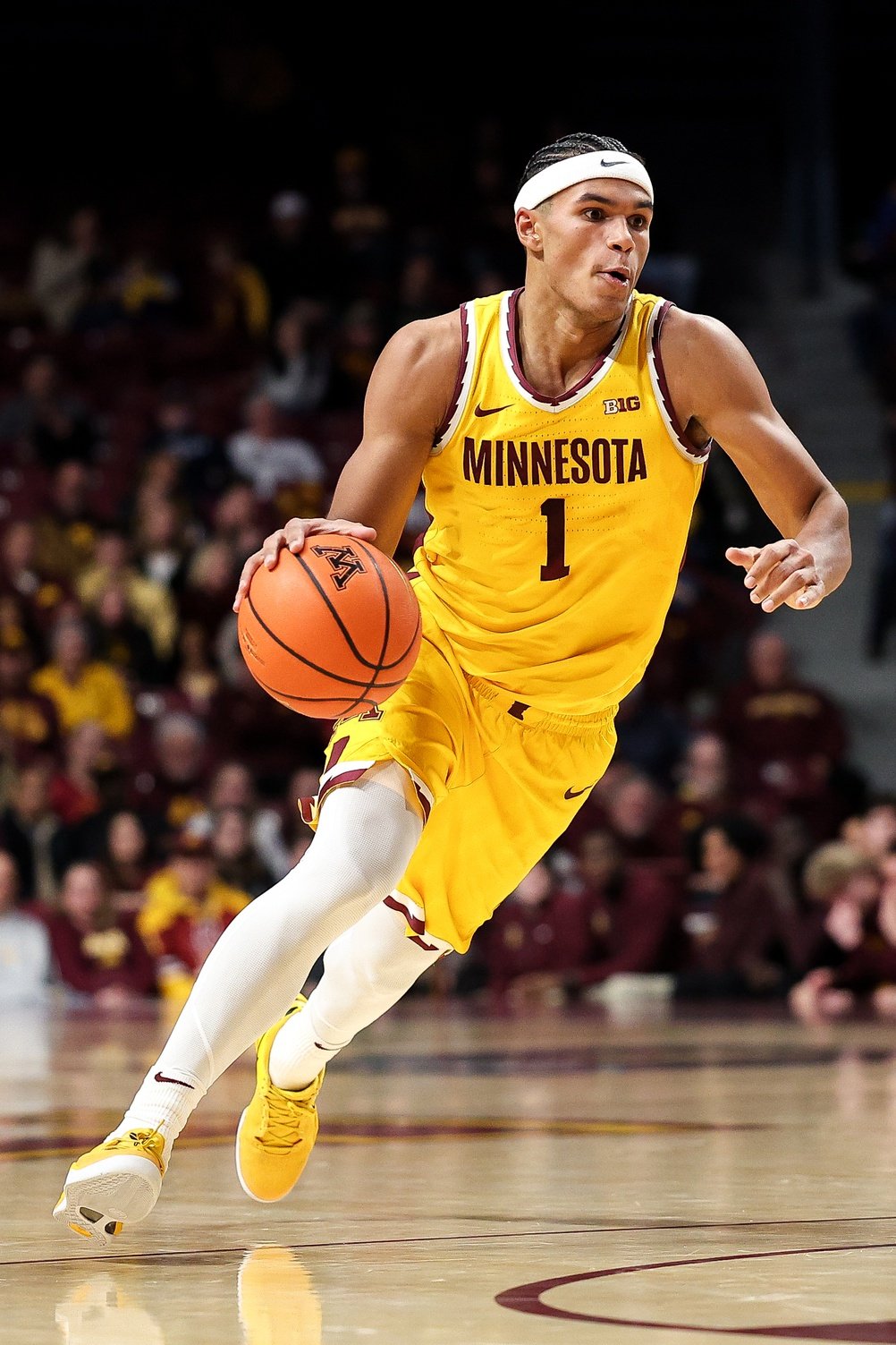 Fairleigh Dickinson vs Minnesota Picks and Predictions for Monday, December 29, 2025