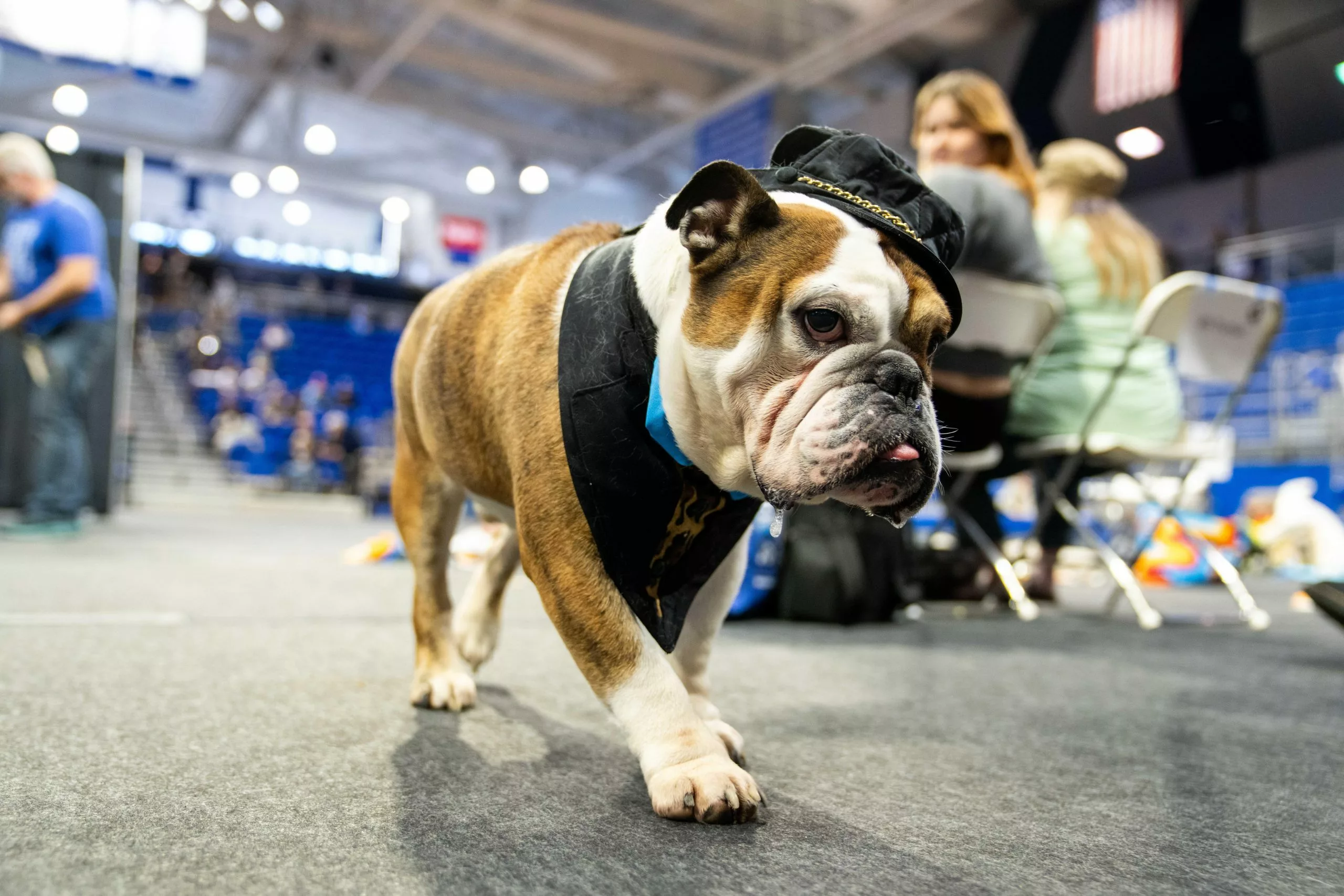 UAB Blazers vs Drake Bulldogs Picks and Predictions for Friday, December 5, 2025
