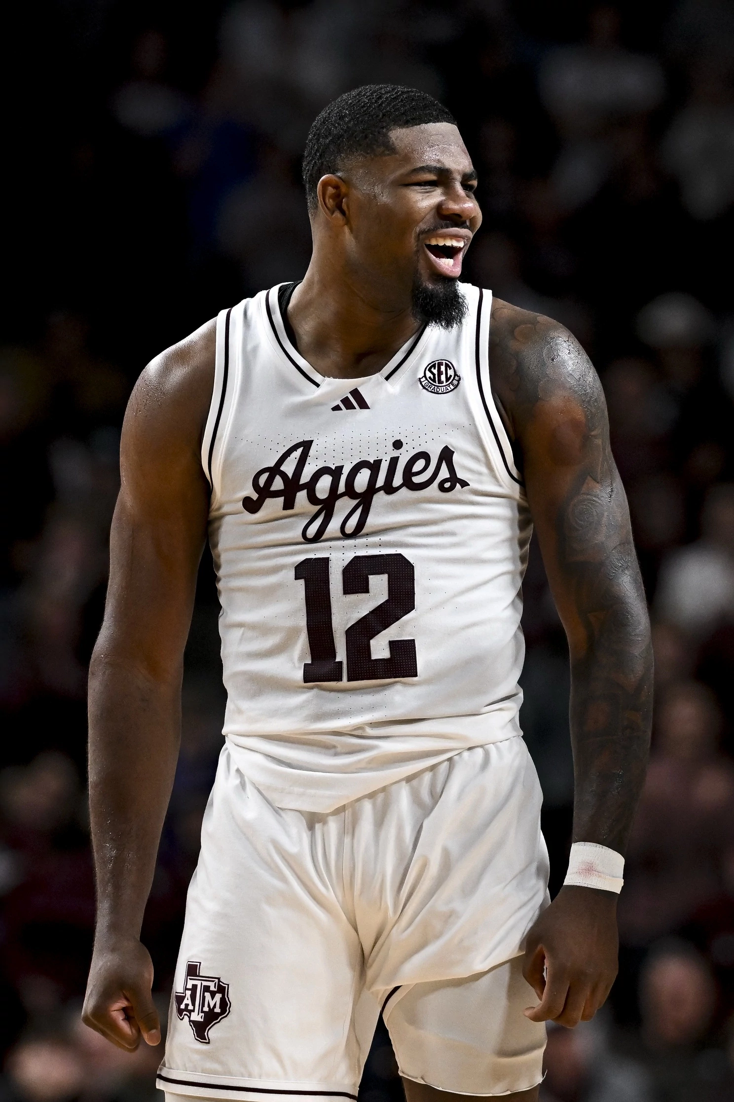 Texas A&M Aggies vs Texas Longhorns Picks and Predictions for Saturday January 17 2026