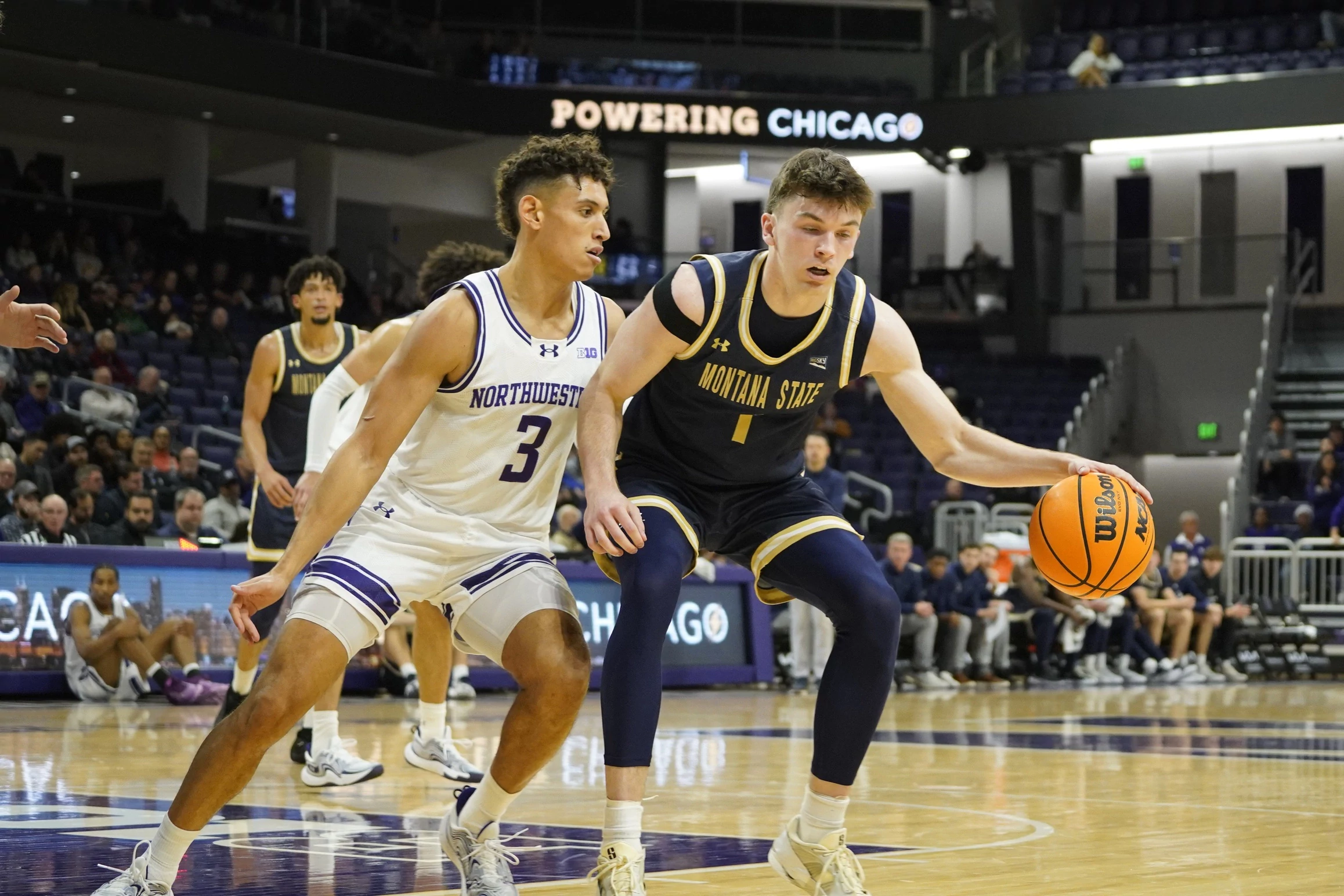 Montana State Bobcats vs. Weber State Wildcats Picks and Prediction for Thursday, February 19, 2026