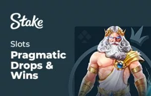 Stake Casino Slots