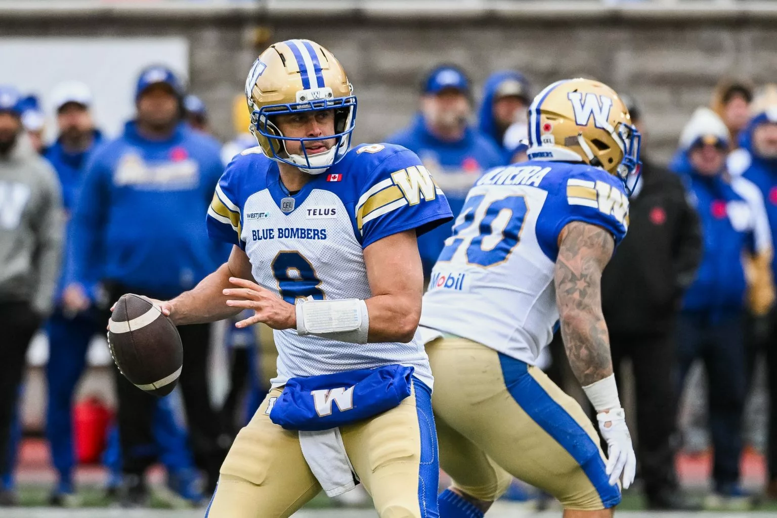 Redblacks vs Blue Bombers Week 11